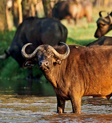 Arusha National Park