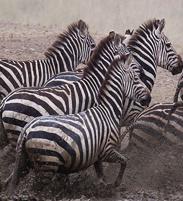 Katavi National Park