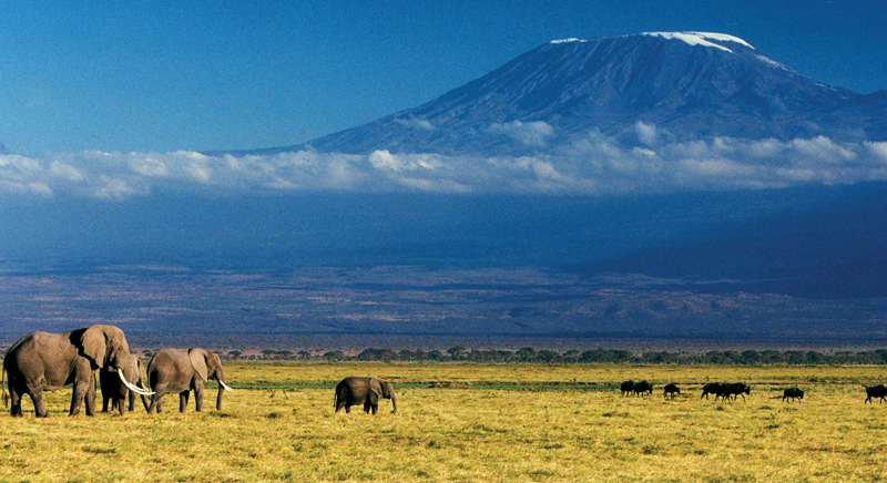 Kilimanjaro trekking