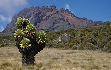 Kilimanjaro lemosho route