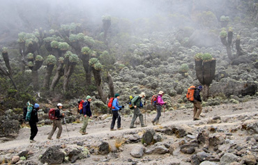 Kilimanjaro marangu route