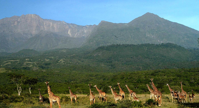 Mount meru