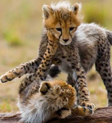 Serengeti National Park