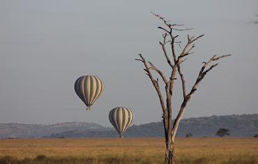 Tanzania safari